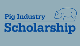 New sponsors sought for Pig Industry Scholarship 